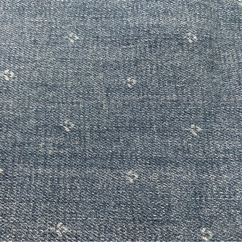 Talbots Light Blue Patterned Jeans - image 1